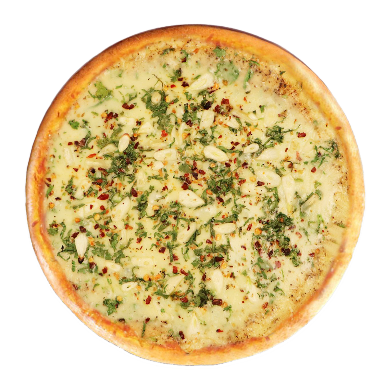 Garlic Pizza Naan fusion close-up